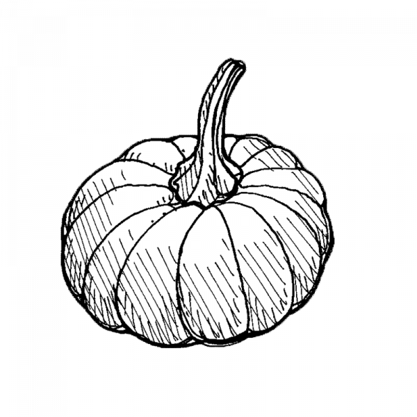 1725_myskikurpitsa_futsu