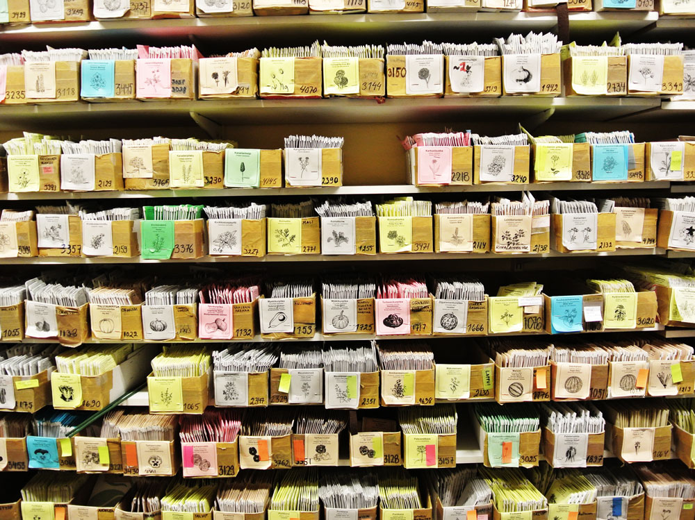 hyotykasviyhdistys_alku-juuri-puoti