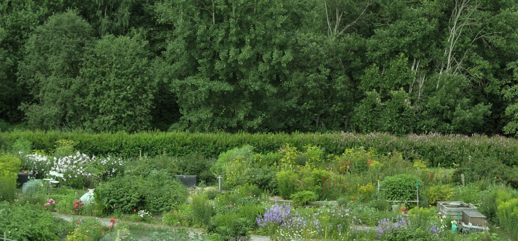 web_etusivu_palstat_3000_1400