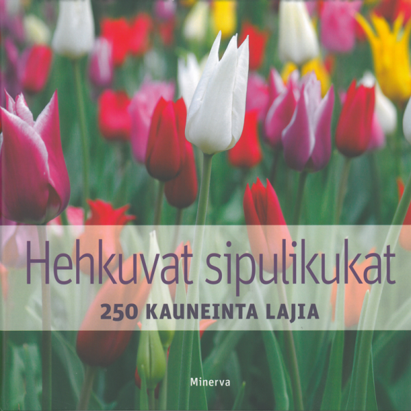 6263_hehkuvat_sipulikukat