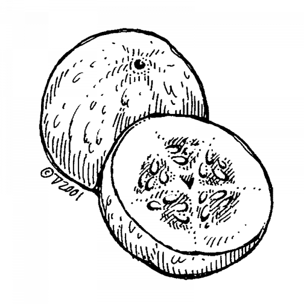 1049_sitruunakurkku_cristal