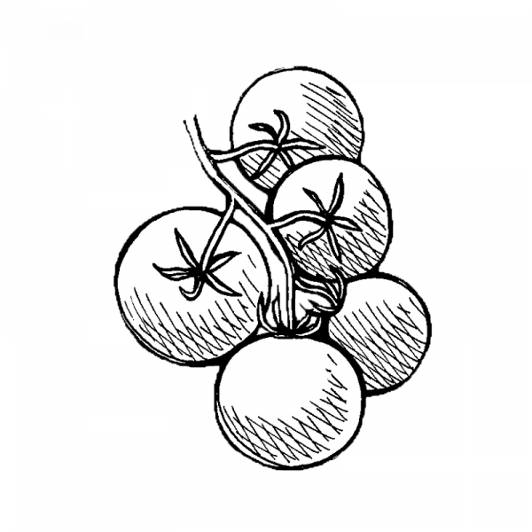 1726_tomaatti_tanskanvienti