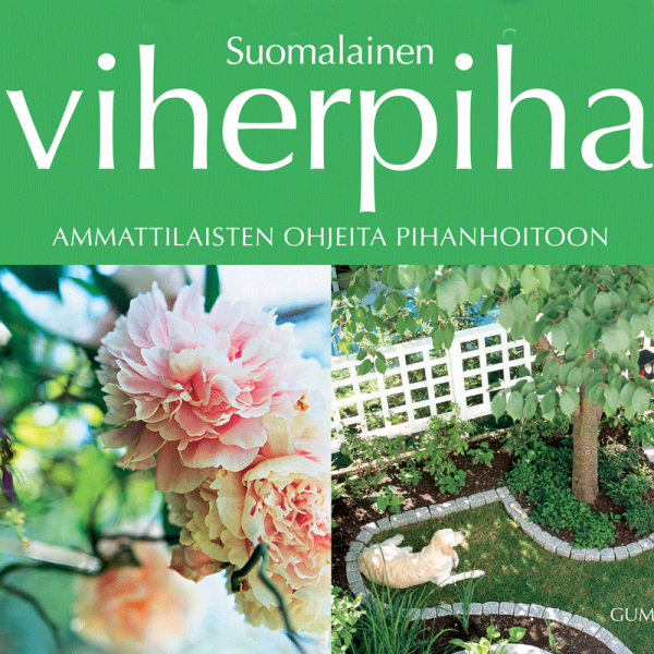 6154_suomalainen_viherpiha