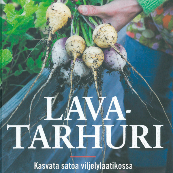 6253_lavatarhuri