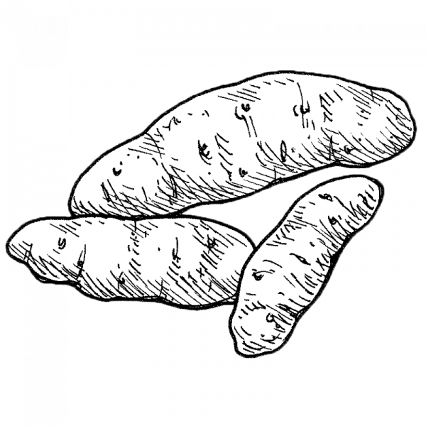 peruna_asparageslaratte