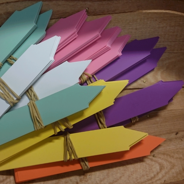 8560-8565_nimisaleet