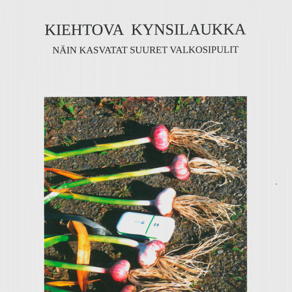 6178_kiehtova_kynsilaukka