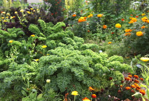 annalassa Outi Tynys (43)