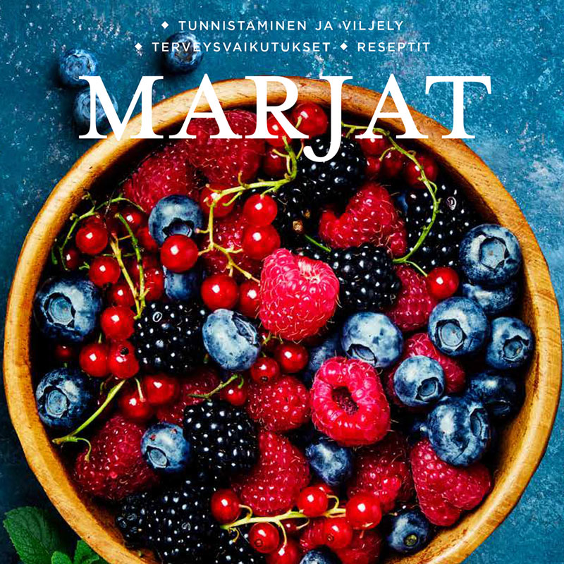 6255_marjat_tunnistaminen